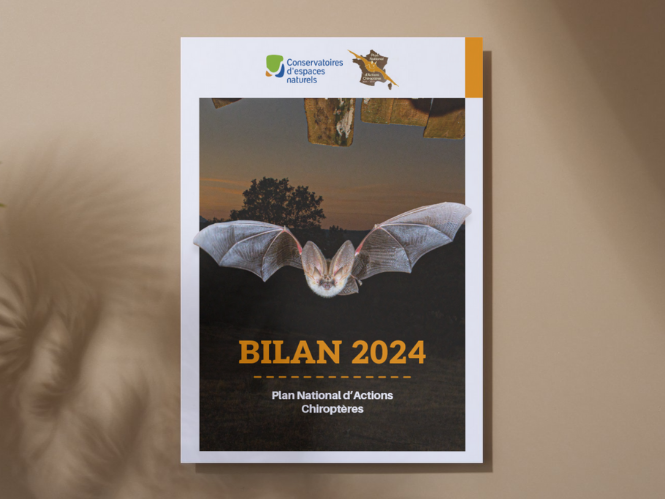 Consultez le Bilan du PNAC 2024 !